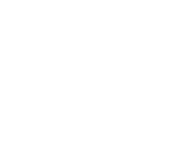 Logo_Magneti_Marelli-white